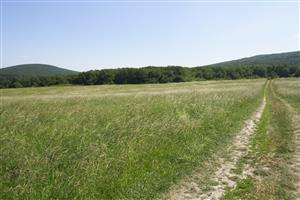 Veľká lúka napravo od cesty